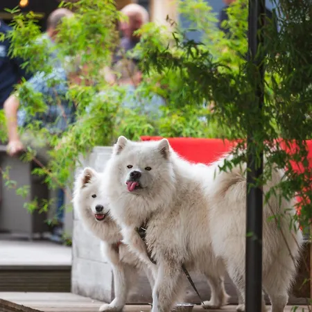 Отель Restaurant D'n Dries