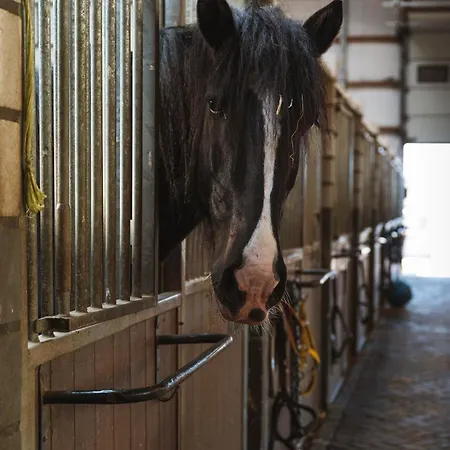 Отель Restaurant D'n Dries Друнен