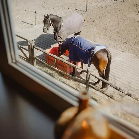 Restaurant D'n Dries Отель 3*