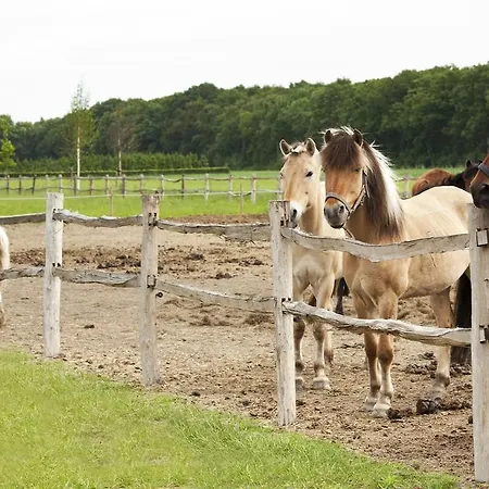 Restaurant D'n Dries 3* Друнен