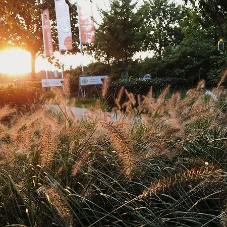 Restaurant D'n Dries Отель Друнен