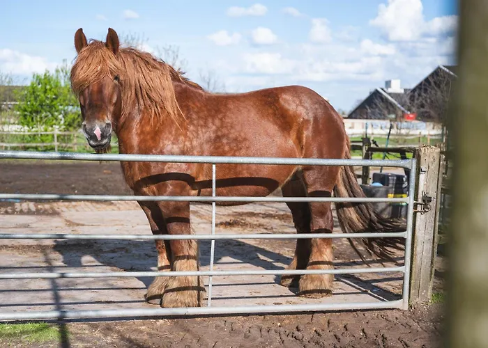 Restaurant D'n Dries Drunen