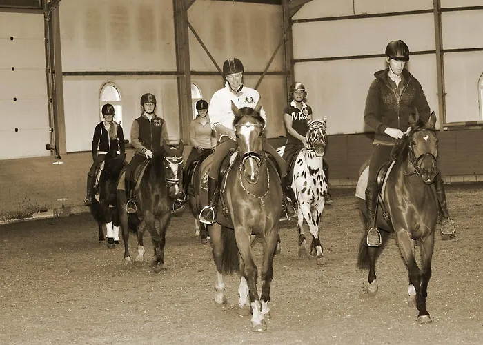 Hotel Restaurant D'n Dries 3*