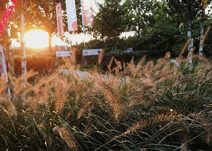 Restaurant D'n Dries Hotel Drunen