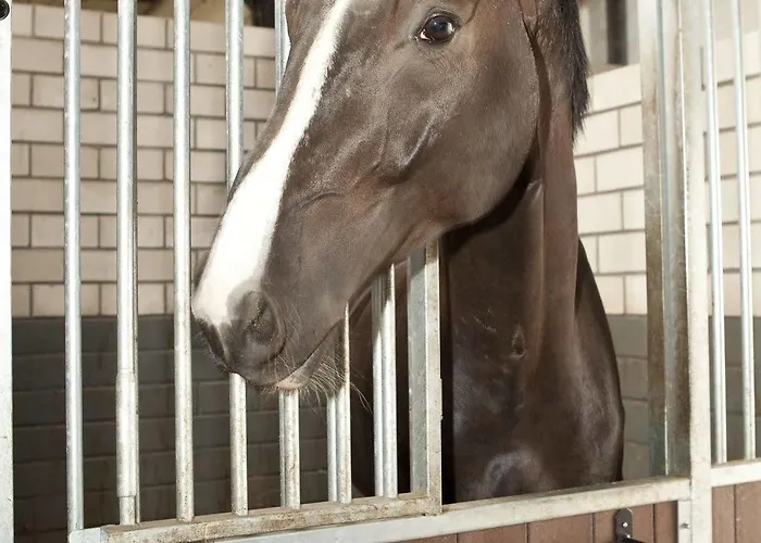 Hotel Restaurant D'n Dries 3*