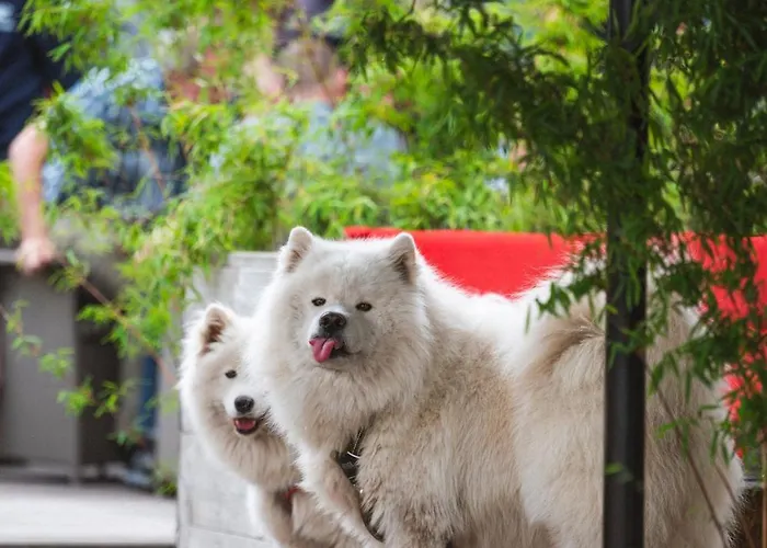 Hotell Restaurant D'n Dries