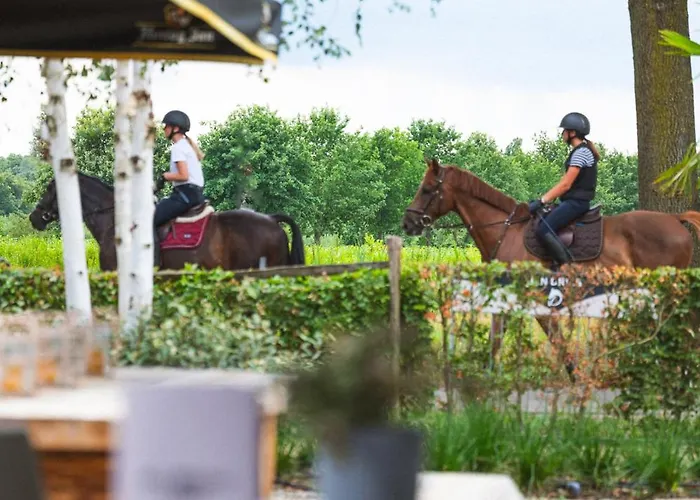 Restaurant D'n Dries Hotell