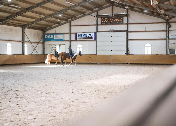 Hotell Restaurant D'n Dries 3*