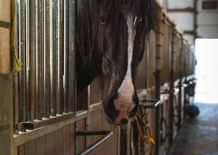 Hotell Restaurant D'n Dries Drunen