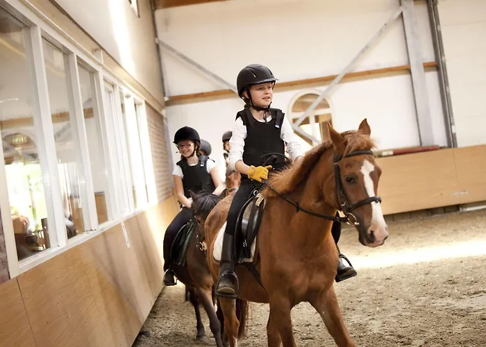 Restaurant D'n Dries Drunen